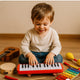 Engaging Instruments for Early Music Education